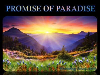 Promise of Paradise (Easter Reflections - (4)